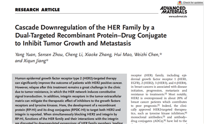 英文文獻(xiàn)Cascade Downregulation of the HER Family